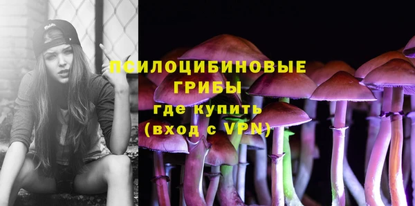 винт Белокуриха