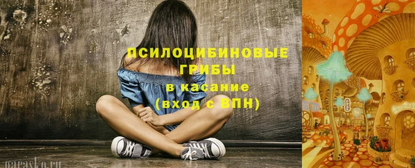 винт Белокуриха