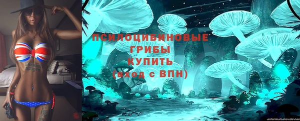 винт Белокуриха