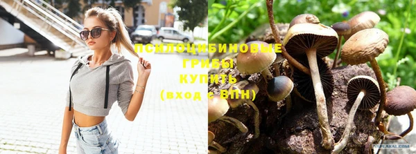 винт Белокуриха