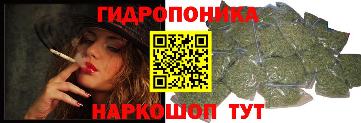 Канабис ГИДРОПОН Гусев